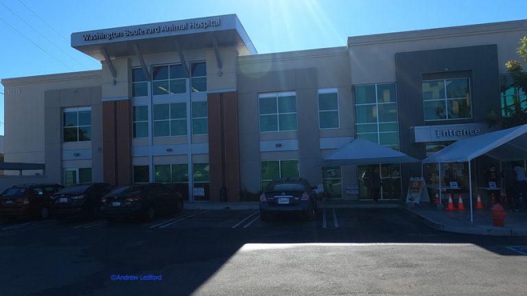 Washington Boulevard Animal Hospital 1 768x432