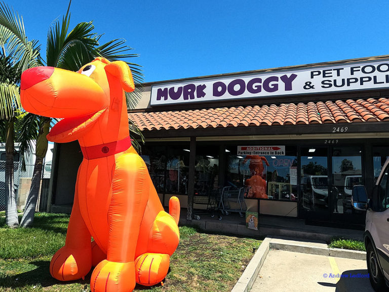 Murk Doggy Whittier Pet Store