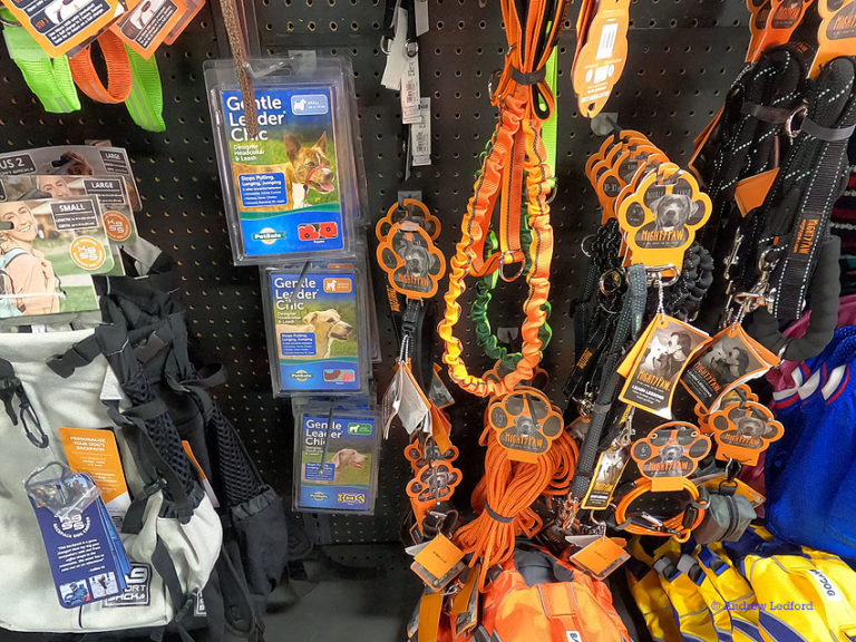 MurkDoggy10j 768x576