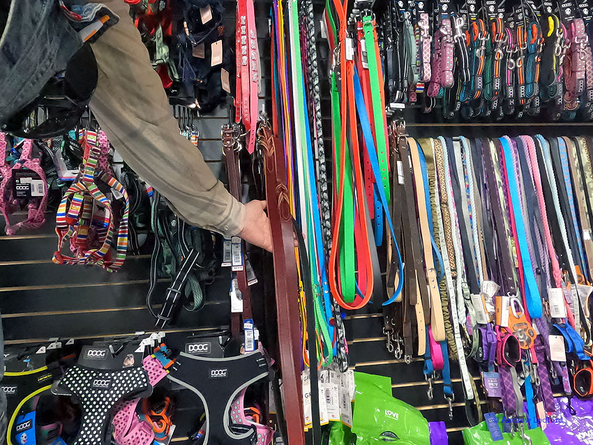 Showing Leashes At Pet Store