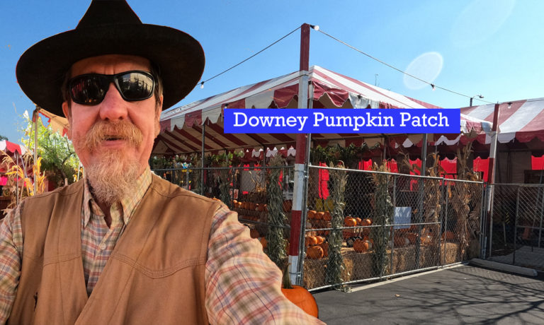 Downy Pumpkin Patch 2022