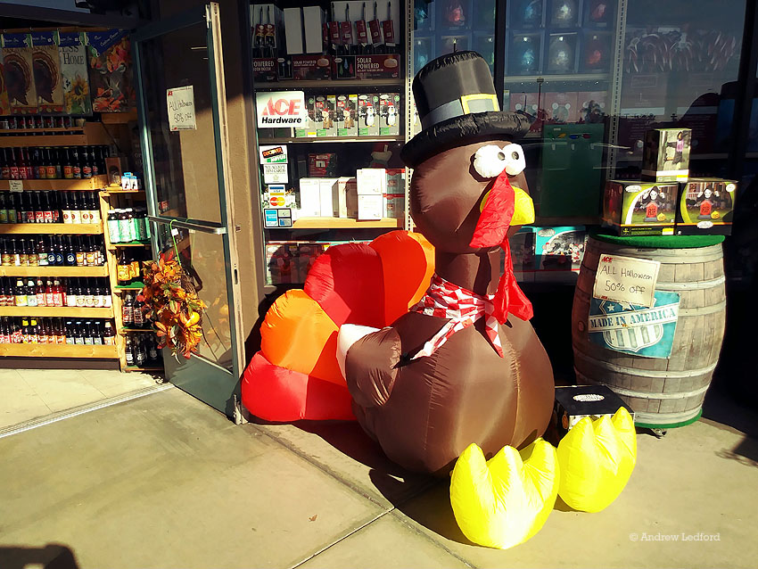 Seasonal Blow up-Turkey