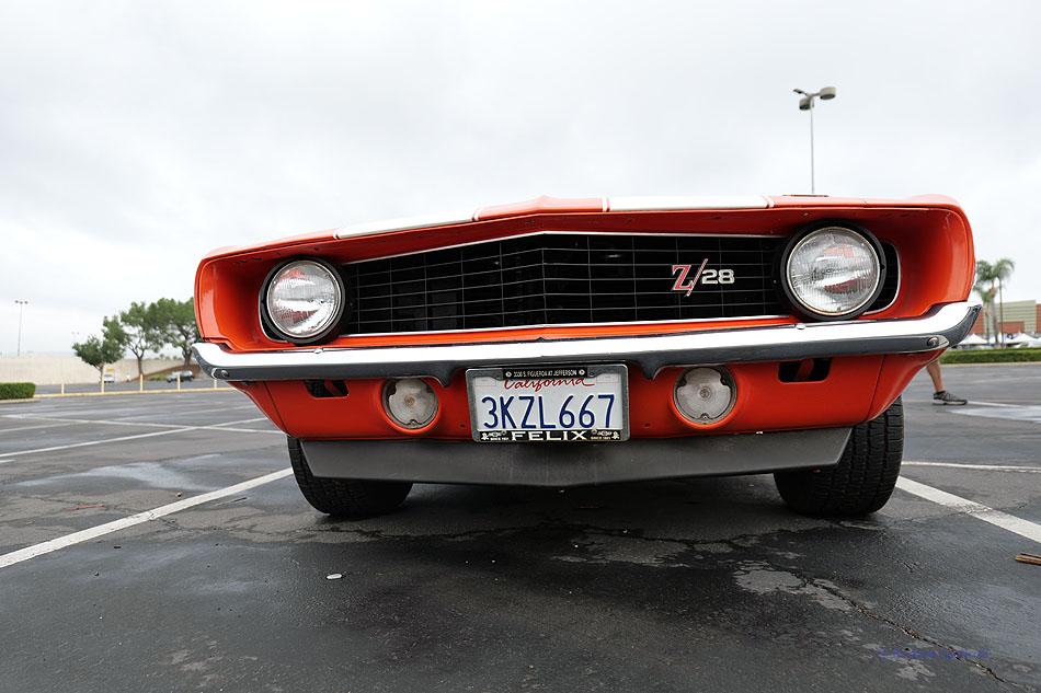 Camaro Z28 front grill low